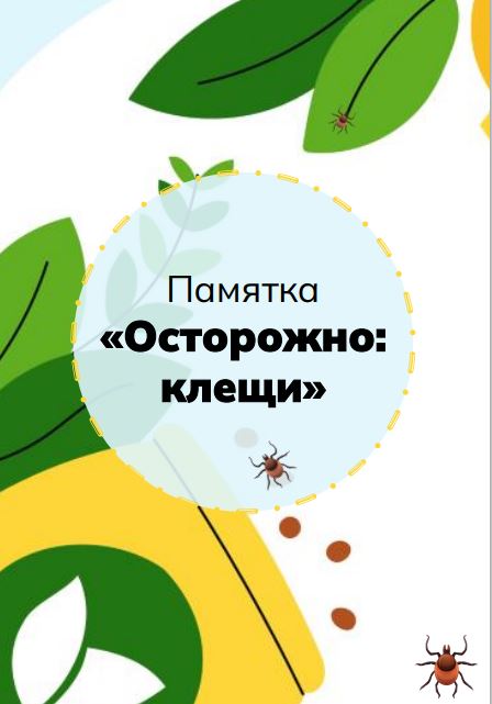 Изображения.